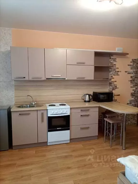 Студия Иркутская область, Шелехов 1-й кв-л, 3А (25.0 м) - Фото 2