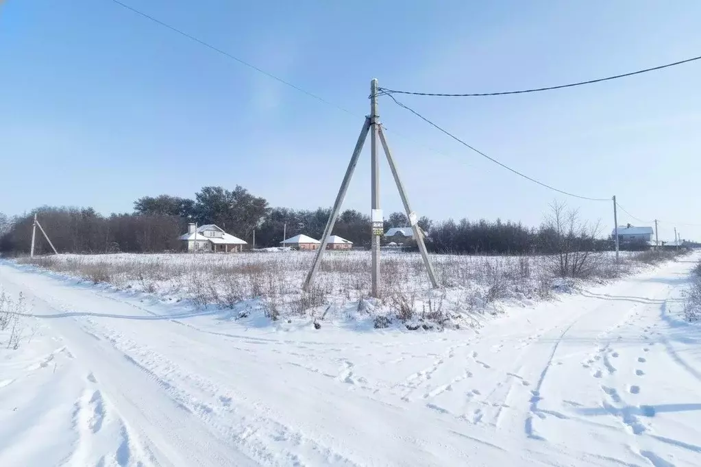 Участок в Оренбургская область, Оренбургский район, с. Нежинка ул. ... - Фото 1