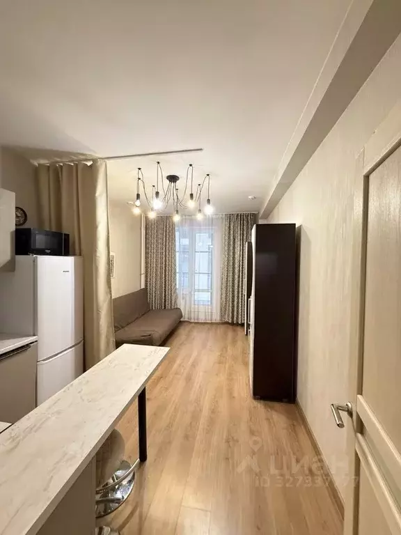 Студия Санкт-Петербург Пулковское ш., 14Е (24.6 м) - Фото 2