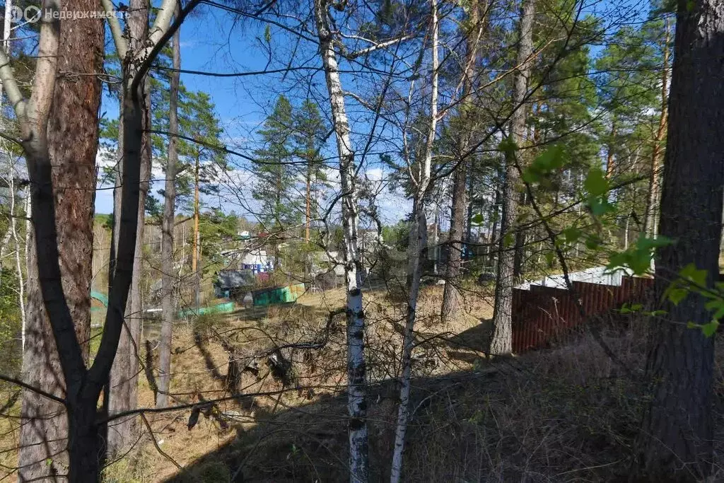 Участок в Иркутский муниципальный округ, СНТ Холодок (10 м) - Фото 1