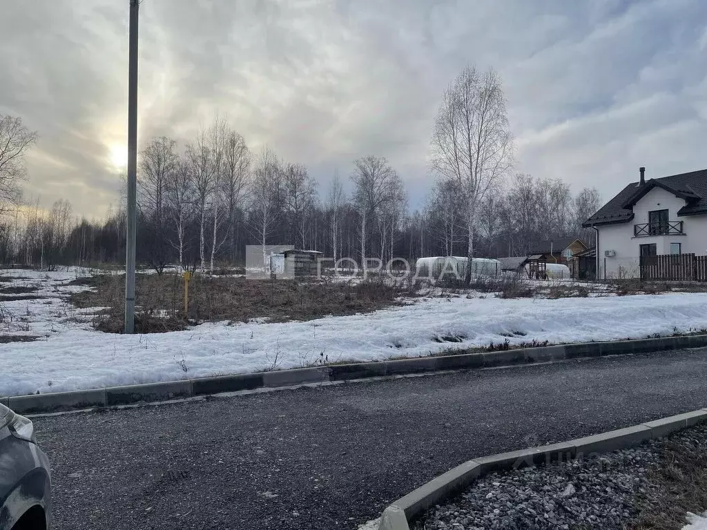Участок в Новосибирская область, Новосибирский район, Барышевский ... - Фото 0