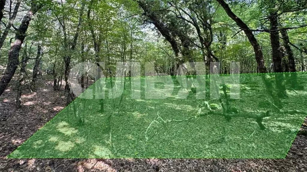 Участок в Крым, Ялта городской округ, Краснокаменка пгт пер. Фрунзе ... - Фото 2