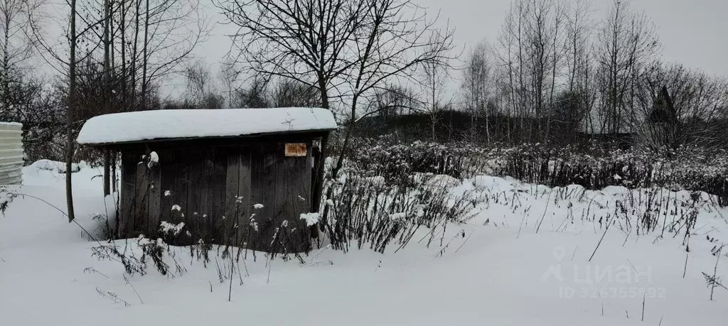 Участок в Брянская область, Брянск Автодорожник садовое общество,  ... - Фото 1