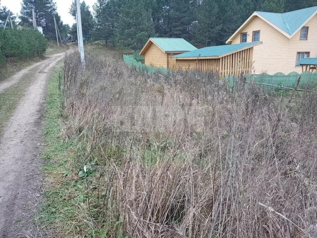 Участок в Вологодская область, Усть-Кубинский муниципальный округ, д. ... - Фото 2