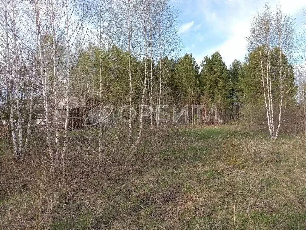 Участок в Тюменский район, деревня Головина (12 м) - Фото 0