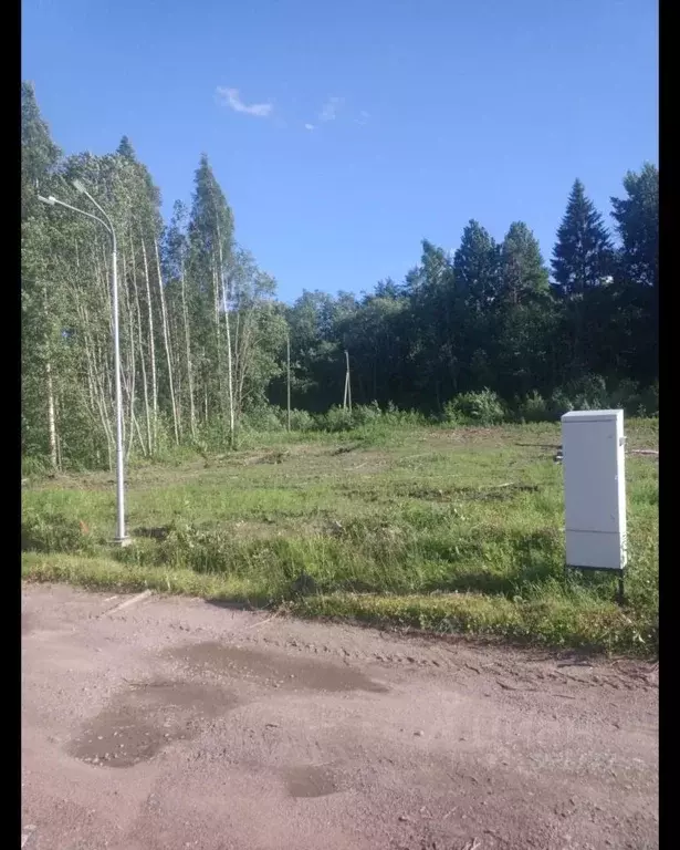Участок в Ленинградская область, Приозерский район, Красноозерное ... - Фото 2
