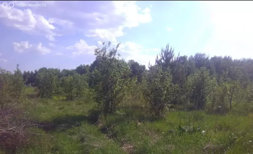 Участок в деревня Новотроицк, Школьная улица (15 м) - Фото 2