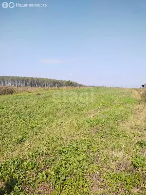 Участок в Калужская область, Козельский муниципальный округ, село ... - Фото 2