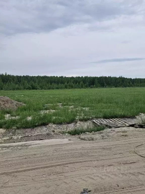 Участок в Санкт-Петербург, Санкт-Петербург, Павловск Березовая ул. ... - Фото 1