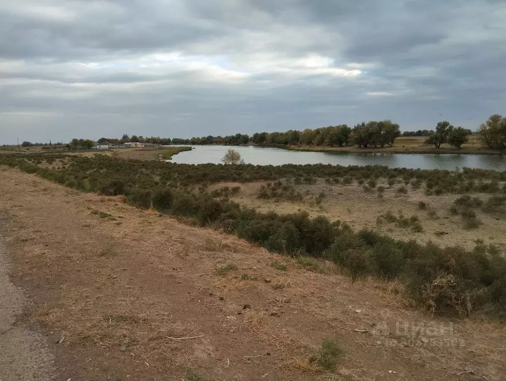 Участок в Астраханская область, Володарский район, Есейтубе хут.  ... - Фото 1