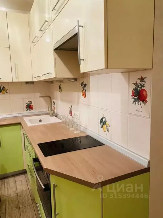 Студия Новосибирская область, Новосибирск ул. Державина, 92 (28.0 м) - Фото 1