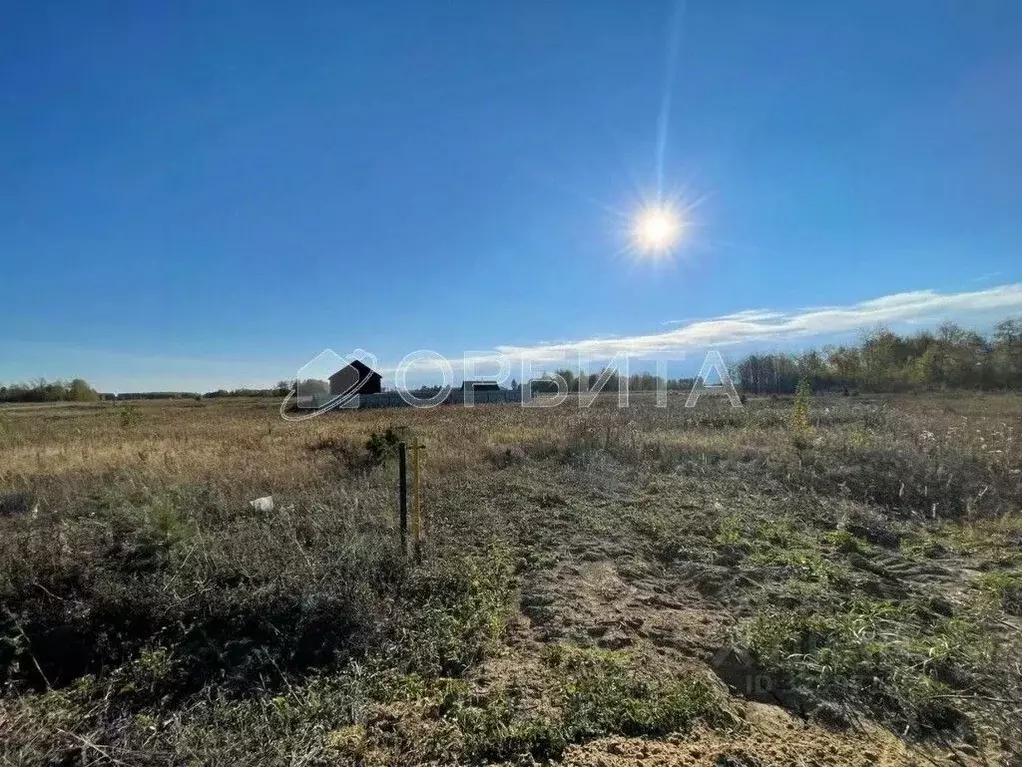 Участок в Тюменская область, Тюменский муниципальный округ, Онегин кп  ... - Фото 1