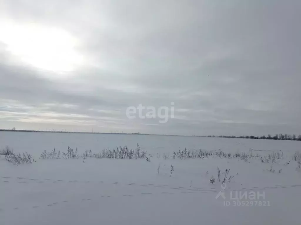 участок в саратовская область, энгельсский район, красноярское . - Фото 1