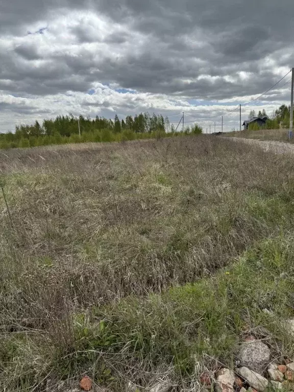 Участок в Московская область, Ступино городской округ, д. Петрово ул. ... - Фото 0