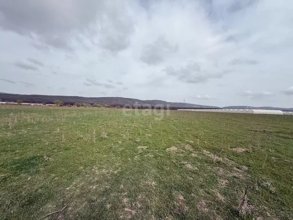 Участок в Краснодарский край, Новороссийск городской округ, Раевская ... - Фото 0