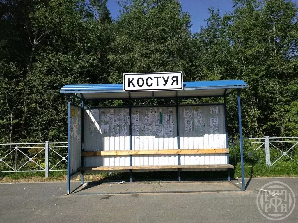 Участок в Ленинградская область, Тосненский район, Любанское городское ... - Фото 1