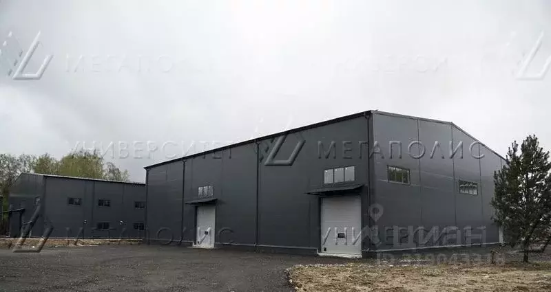 Офис в Московская область, Щелково городской округ, д. Назимиха с1Б ... - Фото 0