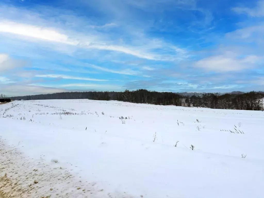 Участок в Московская область, Домодедово городской округ, пос. ... - Фото 1