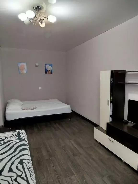 1-к кв. Волгоградская область, Волгоград Голубинская ул., 8 (35.0 м) - Фото 2