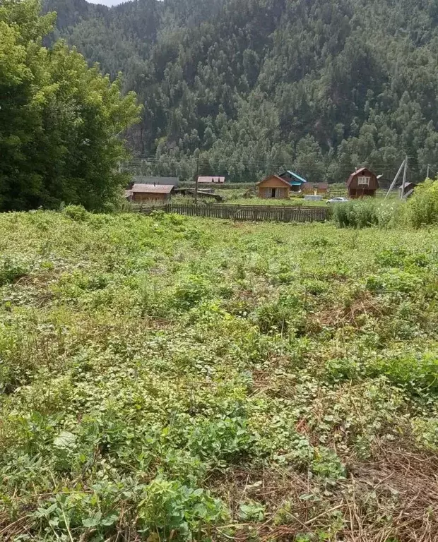 Участок в Алтай, Чемальский район, с. Чепош  (14.0 сот.) - Фото 1