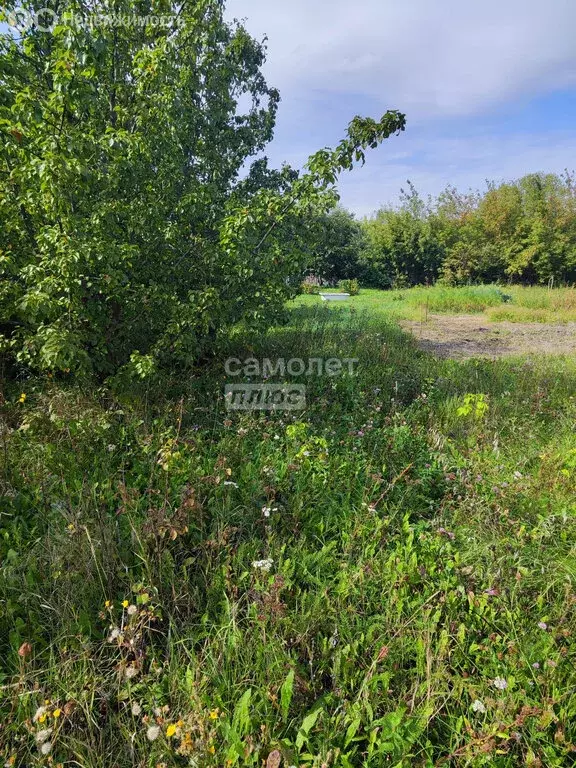 Участок в Головщино, Садовая улица, 4 (40 м) - Фото 1