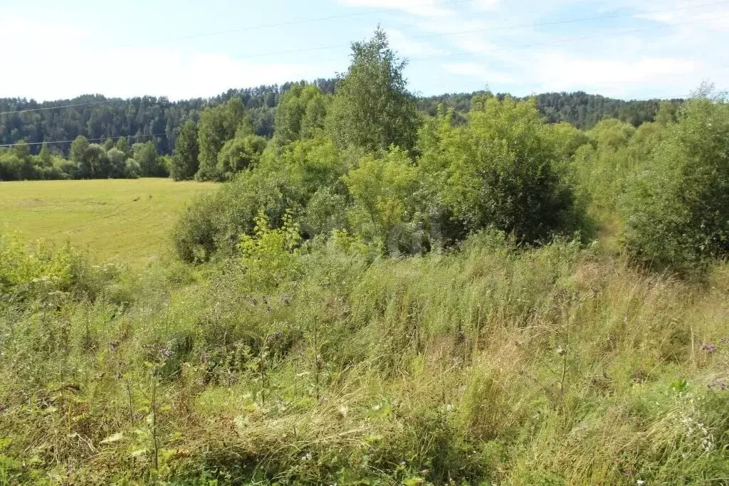 Участок в Майминский район, село Кызыл-Озек (290997 м) - Фото 2