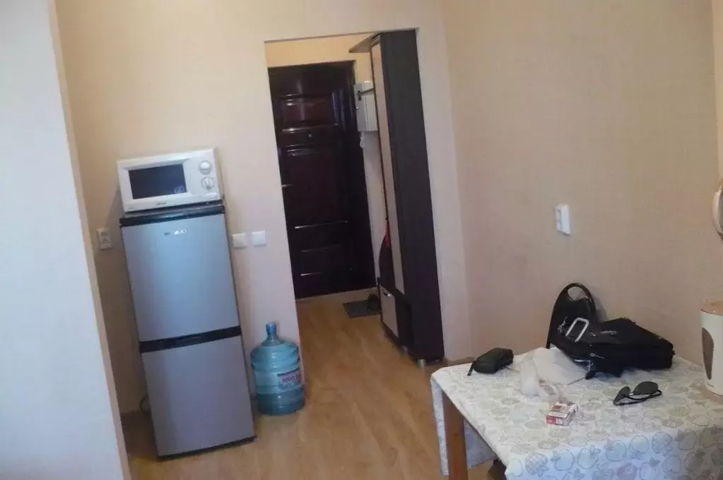 Студия Ленинградская область, Никольское Тосненский район, ... - Фото 2