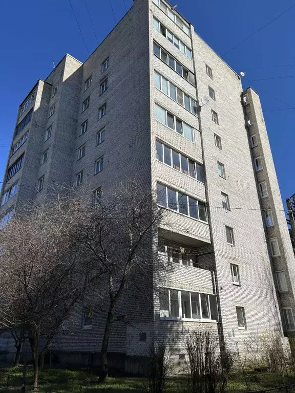 1-к кв. Ленинградская область, Сертолово Всеволожский район, ул. ... - Фото 1