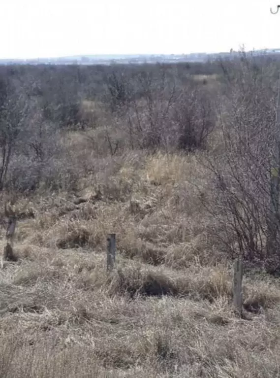 Участок в Татарстан, Заинск Дружба СНТ,  (3.0 сот.) - Фото 2