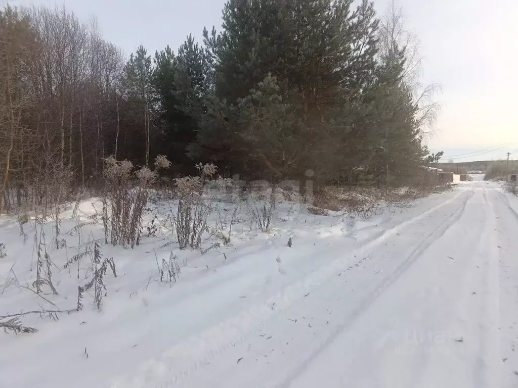 Участок в Нижегородская область, Богородский муниципальный округ, д. ... - Фото 2