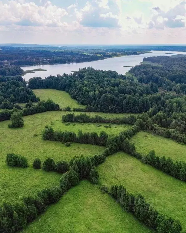 Участок в Ленинградская область, Приозерский район, Ромашкинское ... - Фото 0