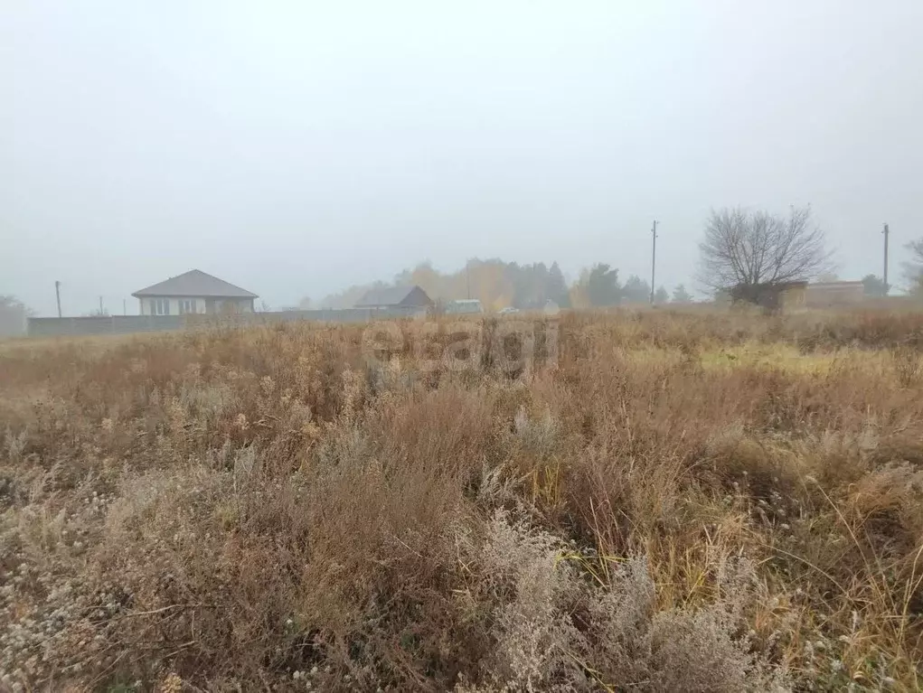 Участок в Саратовская область, Балашовский район, с. Репное Пионерская ... - Фото 2