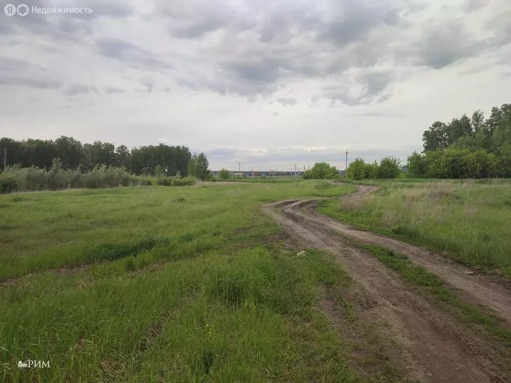 Участок в Подгорное, А-133, 55-й километр (894 м) - Фото 0