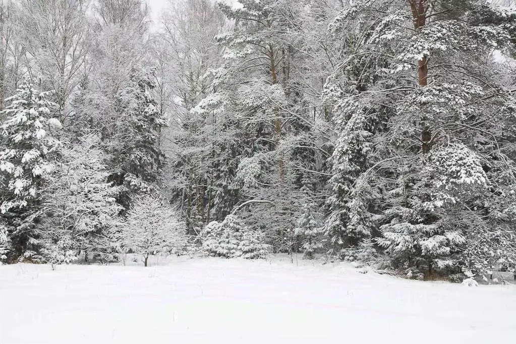 Участок в Московская область, Одинцовский городской округ, пос. ... - Фото 2