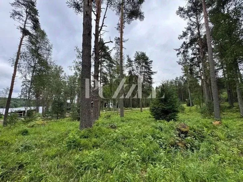 Участок в Ленинградская область, Приозерский район, Громовское с/пос, ... - Фото 1