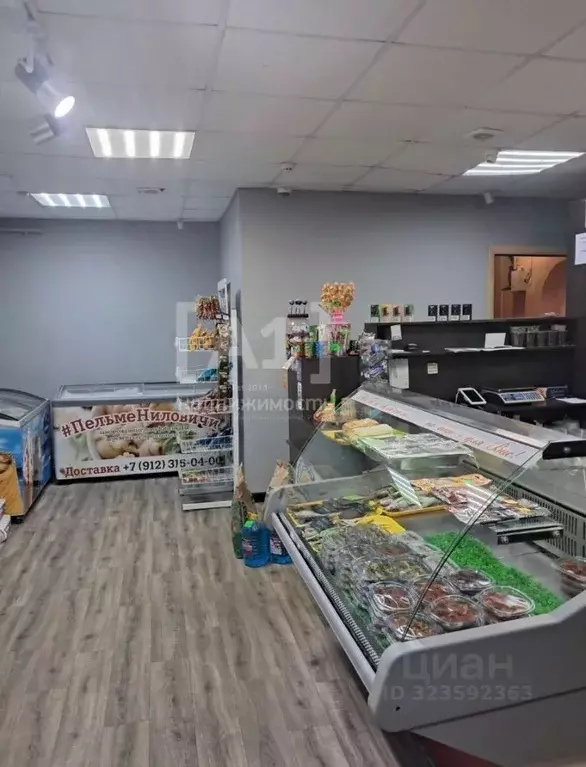 Торговая площадь в Челябинская область, Челябинск ул. Цвиллинга, 49 ... - Фото 2