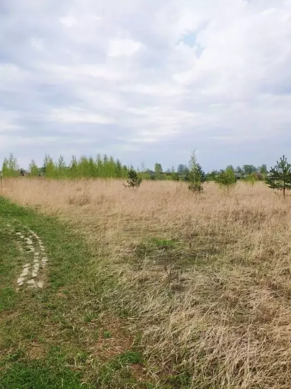 Участок в Нижегородская область, Нижний Новгород д. Слопинец,  (16.6 ... - Фото 1