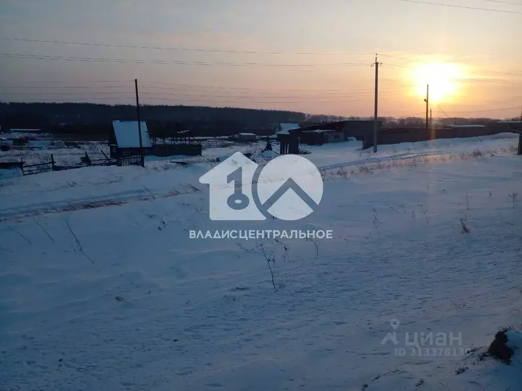 Участок в Новосибирская область, Колыванский район, д. Воробьево ... - Фото 1