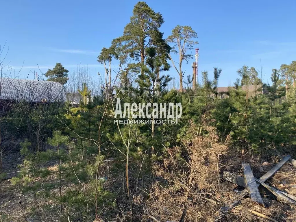 Участок в Ленинградская область, Приозерск Песочная ул., 1А (10.0 ... - Фото 1