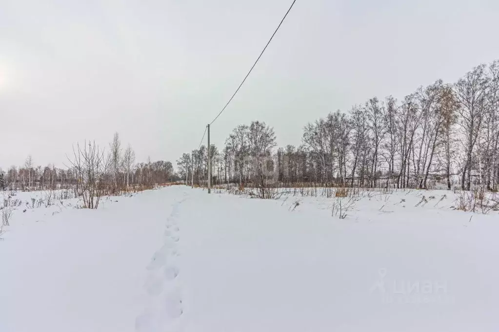 Участок в Новосибирская область, Бердск проезд Центральный (10.0 сот.) - Фото 1