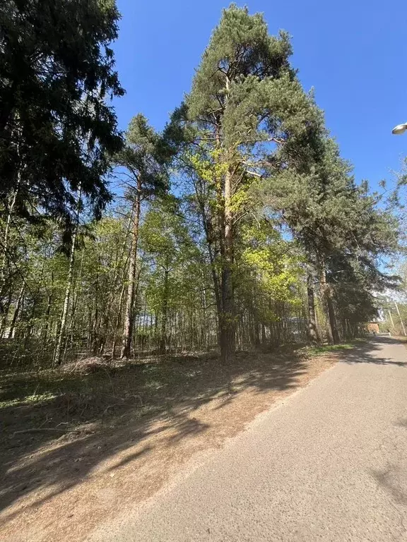 Участок в Московская область, Пушкинский городской округ, с. Тарасовка ... - Фото 2