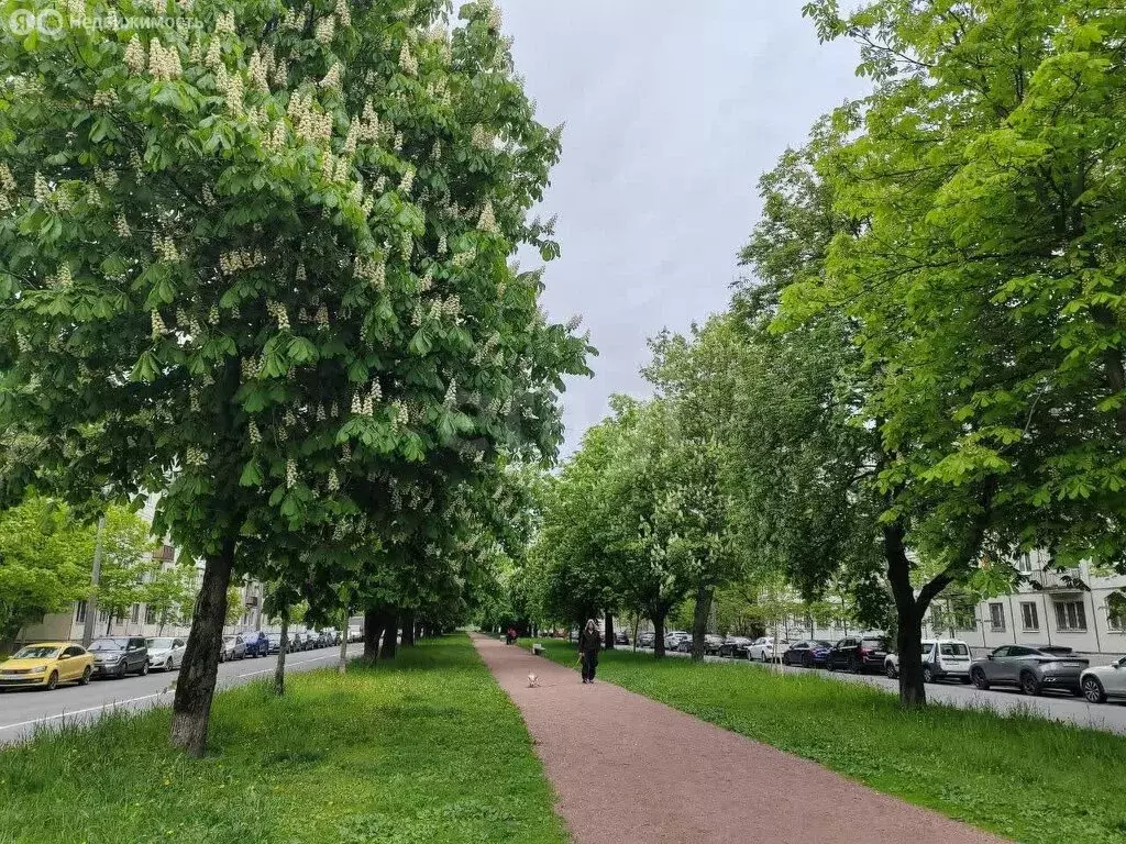 3-комнатная квартира: Санкт-Петербург, улица Стахановцев, 1 (94.1 м) - Фото 0