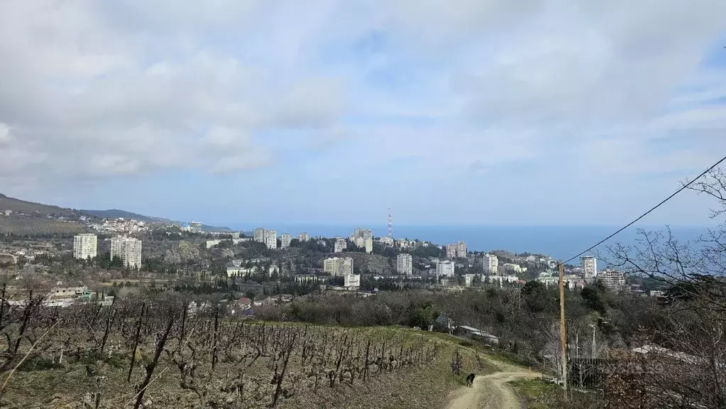 Участок в Крым, Алушта муниципальный округ, с. Лавровое  (8.0 сот.) - Фото 1