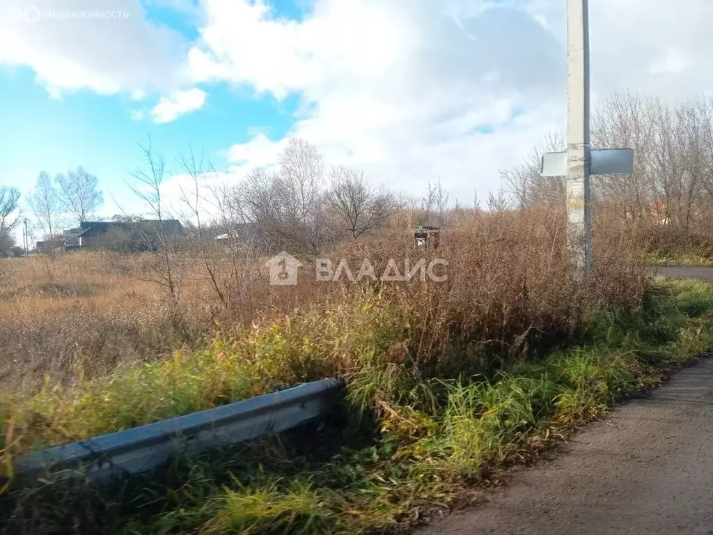 Участок в Нижегородская область, Богородский муниципальный округ, ... - Фото 0