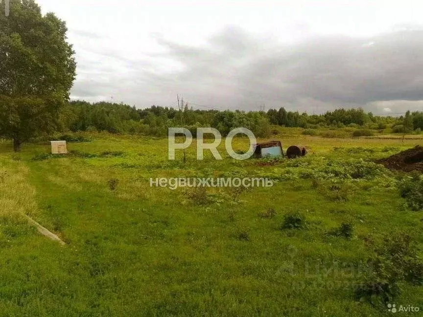 Участок в Ярославская область, Ярославский муниципальный округ, д. ... - Фото 2