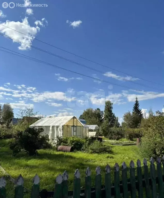 Участок в Барышевский сельсовет, садоводческое некоммерческое ... - Фото 2