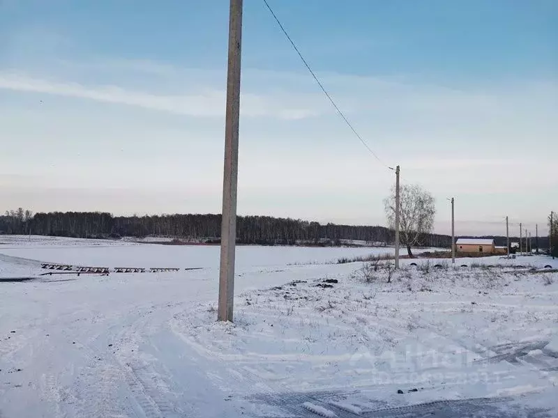 Участок в Новосибирская область, Новосибирский район, Станционный ... - Фото 0