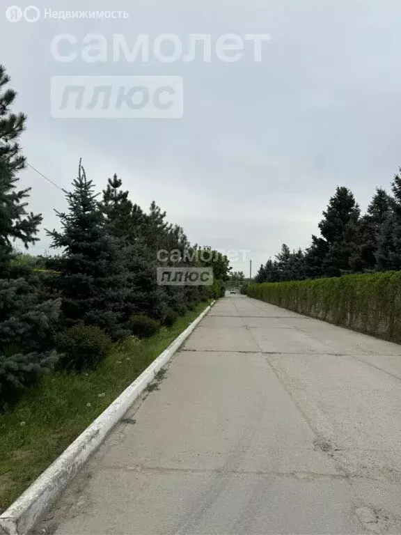 Участок в Краснослободск (12 м) - Фото 1