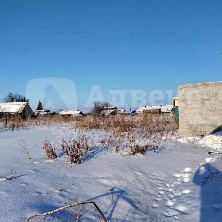 Дом в Тюменская область, Нижнетавдинский район, с. Велижаны Клубная ... - Фото 2