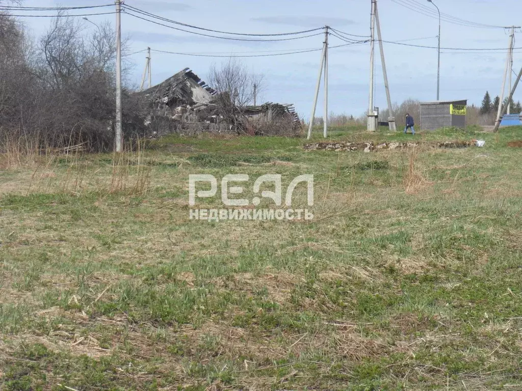 Участок в Ленинградская область, Волосовский район, Большеврудское ... - Фото 2